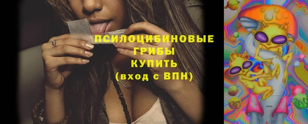 крисы Липки