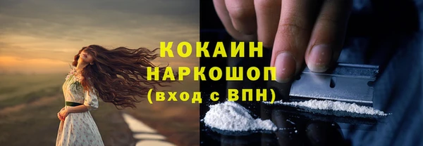 крисы Липки